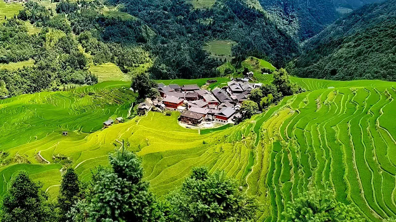 Jiabang Terraced Rice Fields