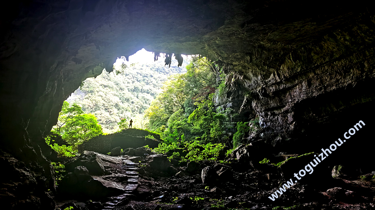 Maolan Karst Forest,China's Emerald